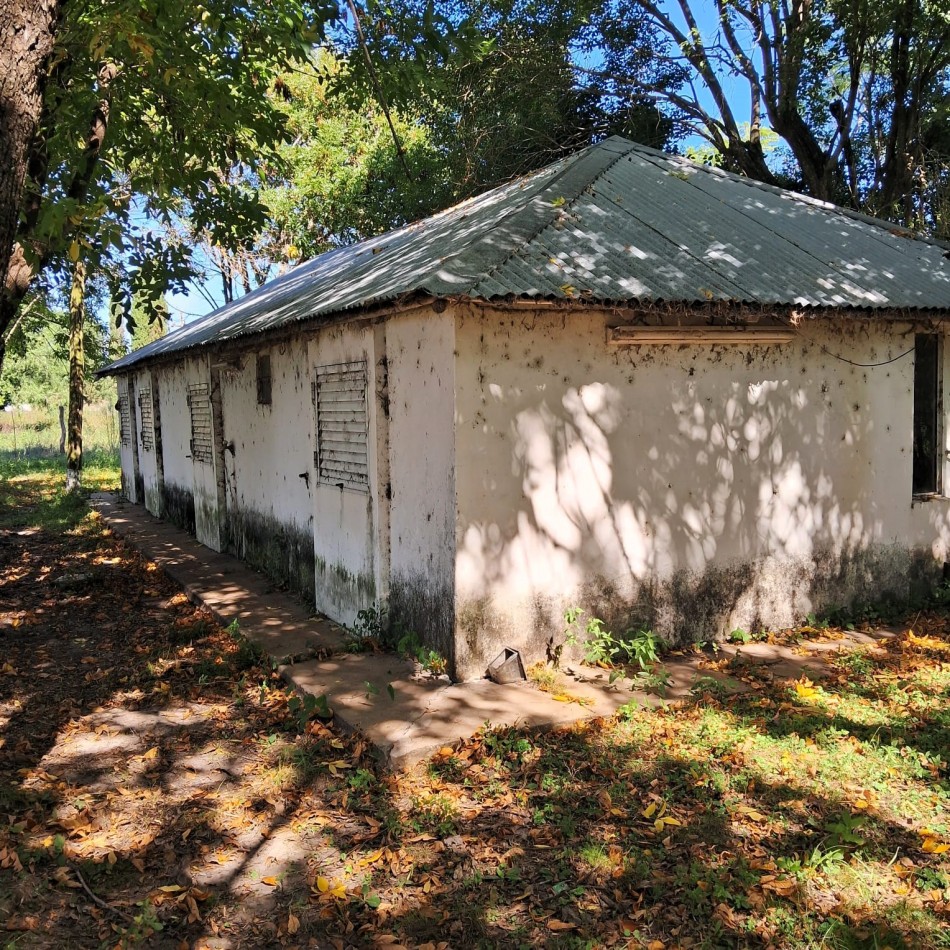 800 has Campo Mixto en La Paz - Entre Rios
